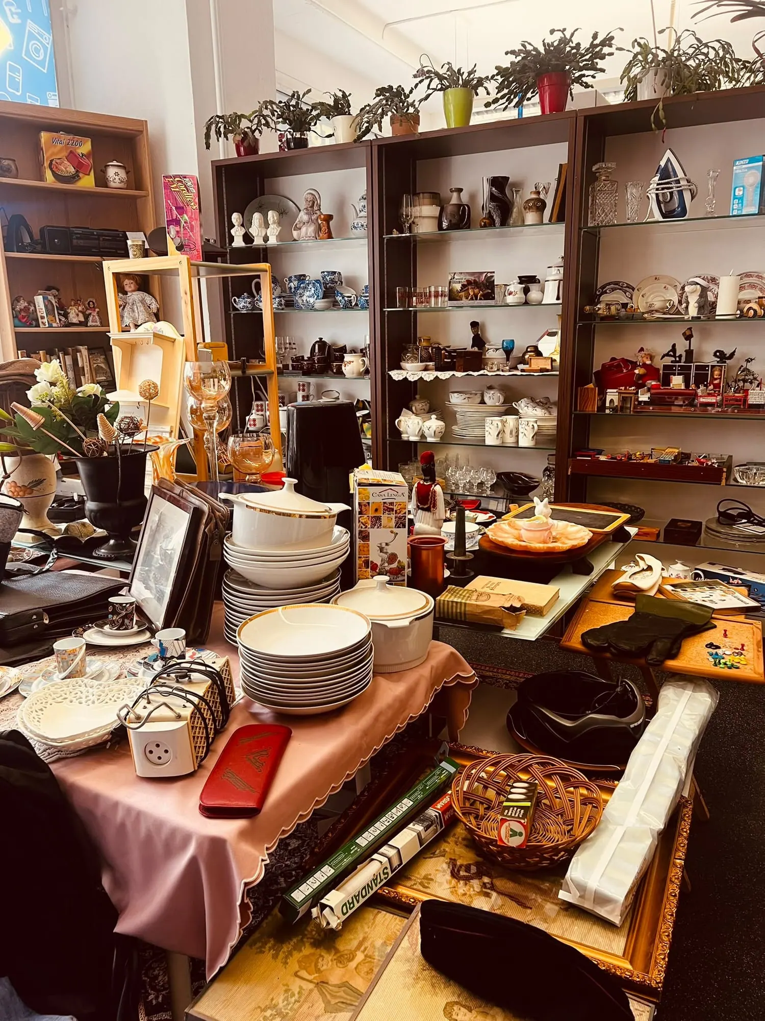 Blick in den Flodder's Flohmarkt in Halle (Saale): Regale mit Geschirr, Porzellan, Gläsern, Bildern und Dekoration
