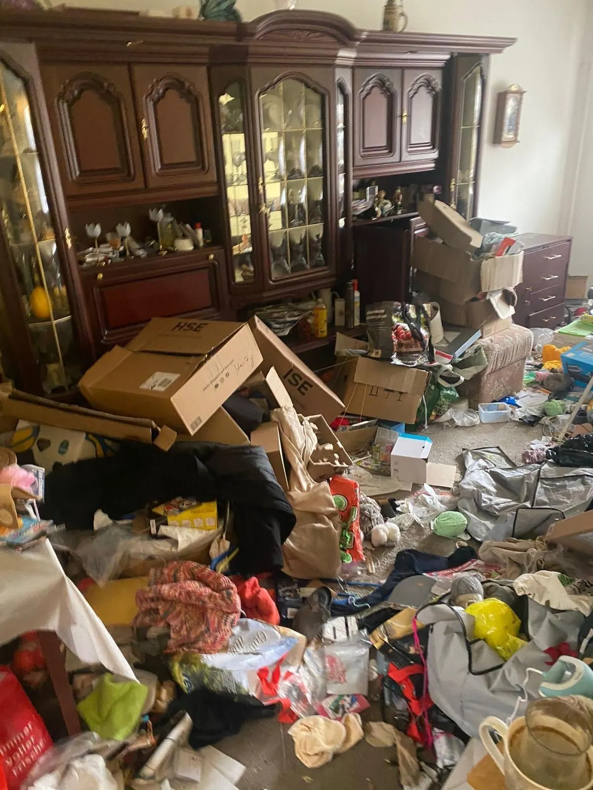 Stark vollgestelltes Wohnzimmer mit Kartons, Kleidung und Hausrat vor einer Messie-Räumung in Halle (Saale)